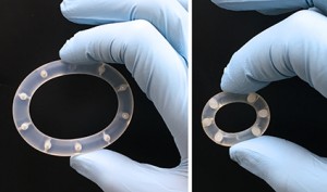 PLosOne0616