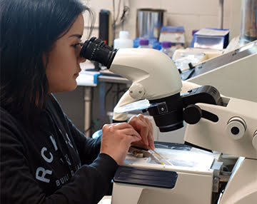 Biomed-0318Q
