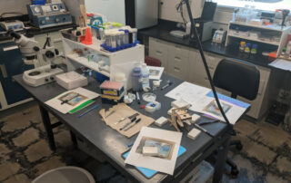 microscopy sample preparation on the first day