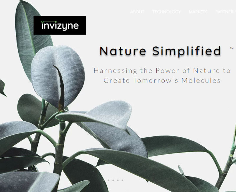 Invizyne Nature Simplified