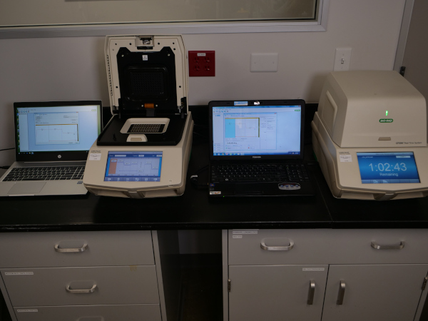 qPCR